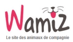 Wamiz parle de dressemonchien.com et diffuse des vidéos de cet éducateur canin 06,13,83