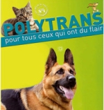 Polytrans parle de dressemonchien.com pour l'éducation canine des chiots-chiens-animaux