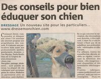 Article de presse