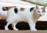 1051232596_35.jpg.jpg