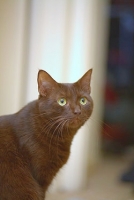 1079015926_27.jpg.jpg
