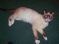 1123498868_54.jpg.jpg
