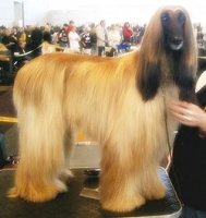 1143715597_24.jpg.jpg