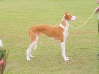 1224950848_49.jpg.jpg