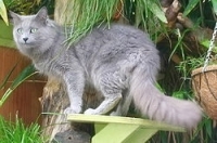 14162382_38.jpg.jpg