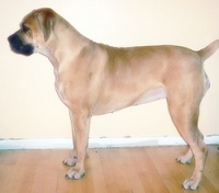 1431006771_41.jpg.jpg