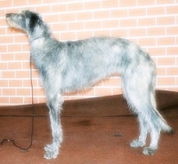 1719675649_91.jpg.jpg