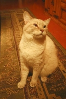 1728944156_19.jpg.jpg