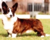1762909268_83.jpg.jpg