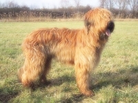 1813044855_28.jpg.jpg