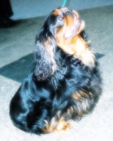 1819656919_18.jpg.jpg