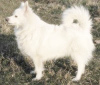 1894536813_67.jpg.jpg