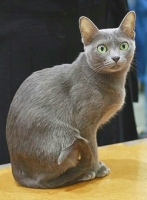 190942858_31.jpg.jpg