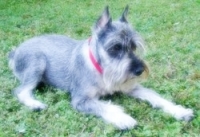 1913058290_56.jpg.jpg