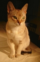 1980941323_53.jpg.jpg