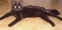 1988908448_62.jpg.jpg
