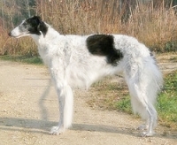 201803668_11.jpg.jpg