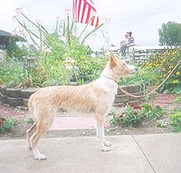 2084321864_48.jpg.jpg
