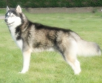 388321504_14.jpg.jpg