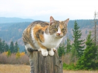417351676_26.jpg.jpg
