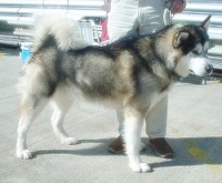 425535187_4.jpg.jpg