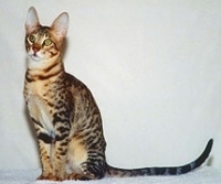 426634907_50.jpg.jpg