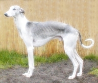 471392696_28.jpg.jpg