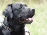 506152825_21.jpg.jpg