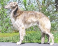 523320639_29.jpg.jpg