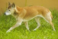 550175372_70.jpg.jpg