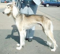 590552971_33.jpg.jpg