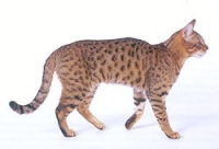 673238783_14.jpg.jpg