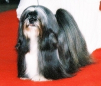 726774109_37.jpg.jpg