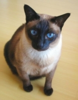 822874526_58.jpg.jpg