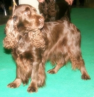 831426057_11.jpg.jpg