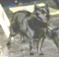 899029962_61.jpg.jpg
