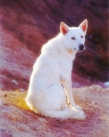 979141963_72.jpg.jpg