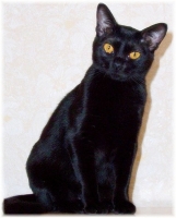 99785389_10.jpg.jpg